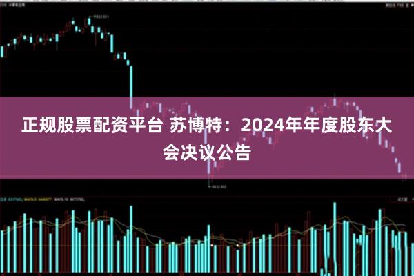 正规股票配资平台 苏博特：2024年年度股东大会决议公告