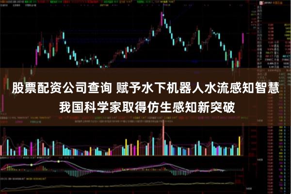 股票配资公司查询 赋予水下机器人水流感知智慧 我国科学家取得仿生感知新突破