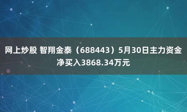 网上炒股 智翔金泰（688443）5月30日主力资金净买入3868.34万元